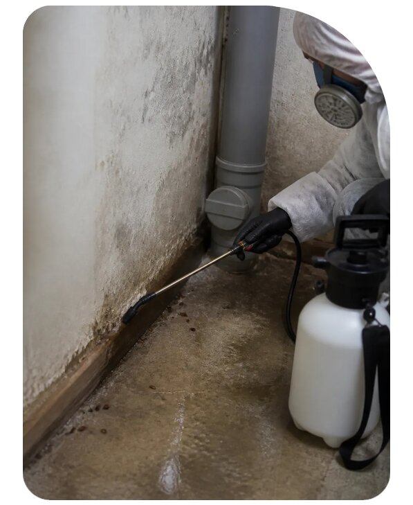 Уничтожение мокриц в Медногорске заказать от 2543 р. | Сенат-Мдн